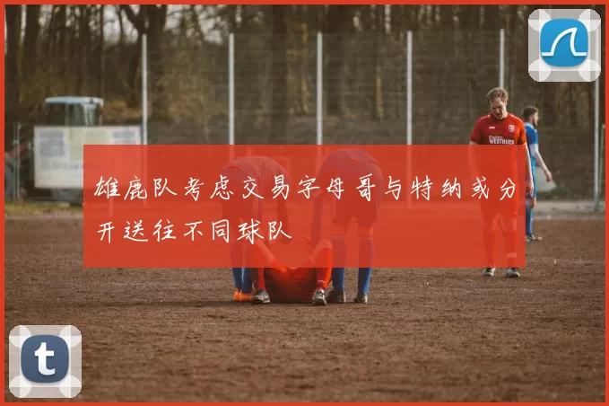 雄鹿队考虑交易字母哥与特纳或分开送往不同球队